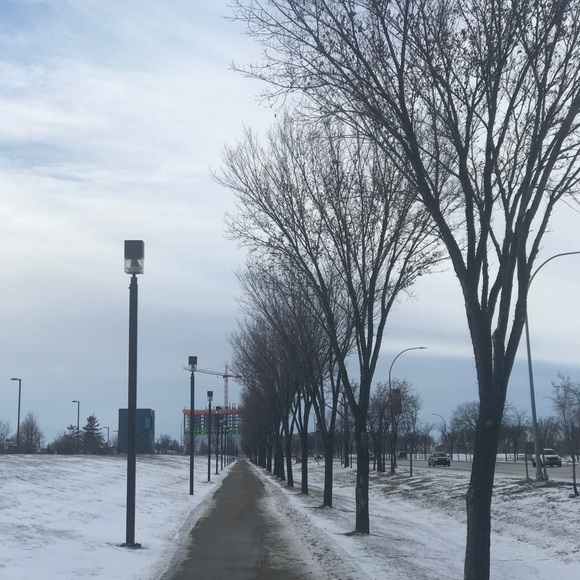 Meet your Posher, Anare - Picture 1 of 1